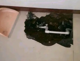 衢江卫生间测漏水多少钱